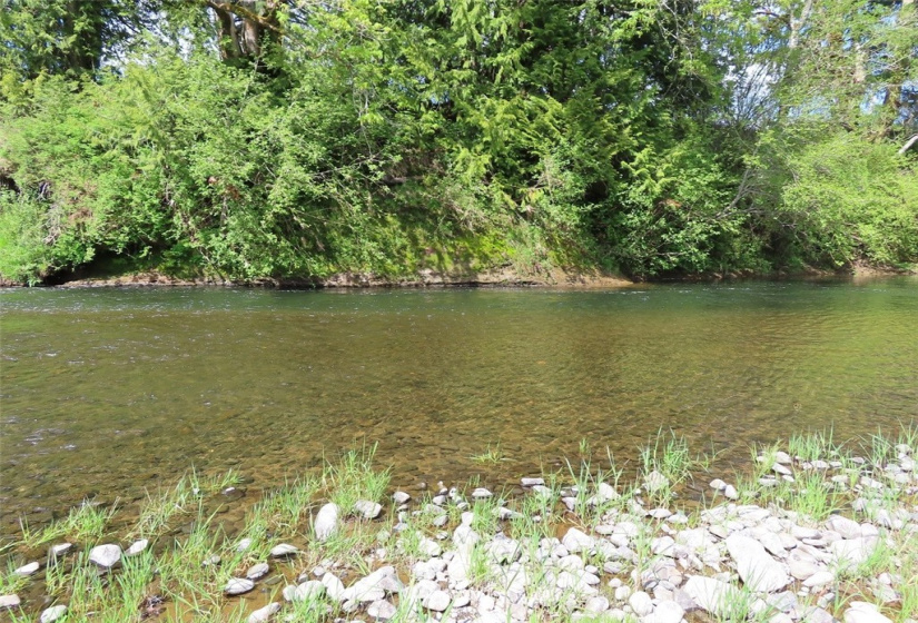 0 Lot 3 State Route 6, Chehalis, Washington 98532, ,Land,For Sale,State Route 6,NWM1865037