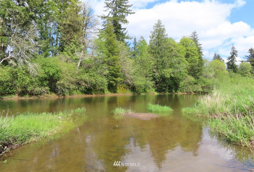 0 Lot 3 State Route 6, Chehalis, Washington 98532, ,Land,For Sale,State Route 6,NWM1865037