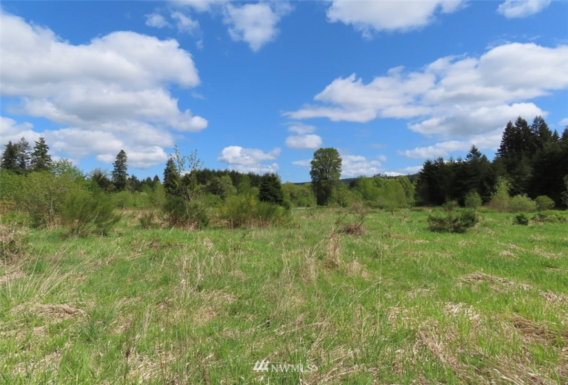 0 Lot 3 State Route 6, Chehalis, Washington 98532, ,Land,For Sale,State Route 6,NWM1865037