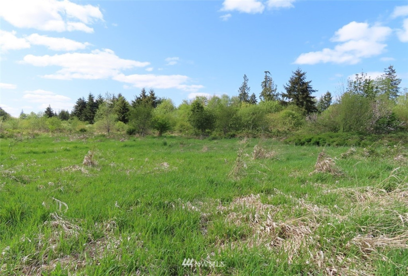 0 Lot 3 State Route 6, Chehalis, Washington 98532, ,Land,For Sale,State Route 6,NWM1865037