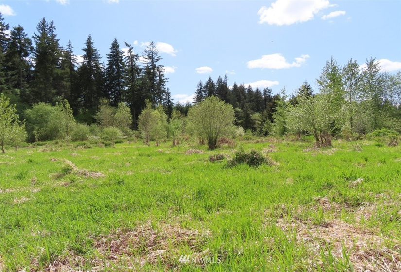 0 Lot 3 State Route 6, Chehalis, Washington 98532, ,Land,For Sale,State Route 6,NWM1865037