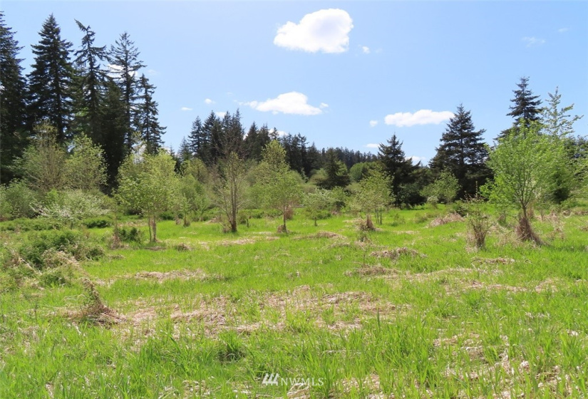 0 Lot 3 State Route 6, Chehalis, Washington 98532, ,Land,For Sale,State Route 6,NWM1865037
