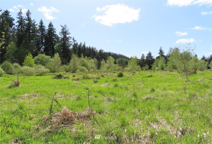 0 Lot 3 State Route 6, Chehalis, Washington 98532, ,Land,For Sale,State Route 6,NWM1865037