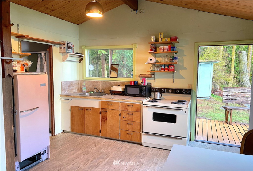 497 Chinook, Center Island, Washington 98221, 2 Bedrooms Bedrooms, ,1 BathroomBathrooms,Residential,For Sale,Center Island,Chinook,NWM1865058