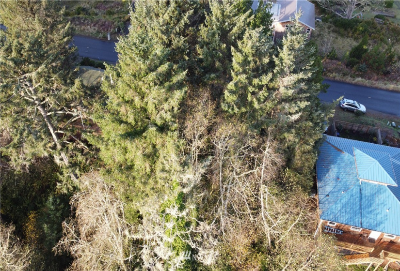 35300 J, Ocean Park, Washington 98640, ,Land,For Sale,Surfside Estates DV-20,J,NWM1862649