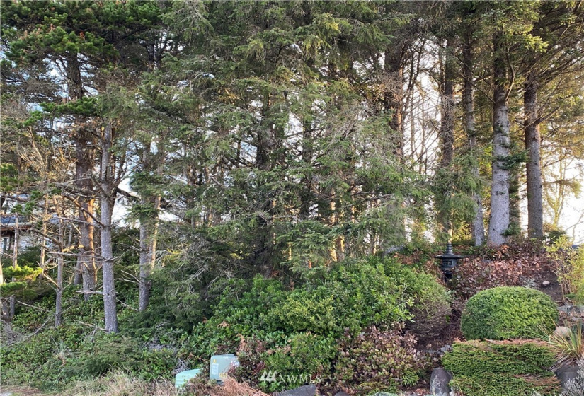 35300 J, Ocean Park, Washington 98640, ,Land,For Sale,Surfside Estates DV-20,J,NWM1862649