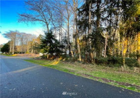394 Lake View, Ocean Shores, Washington 98569, ,Land,For Sale,23,Lake View,NWM1865220