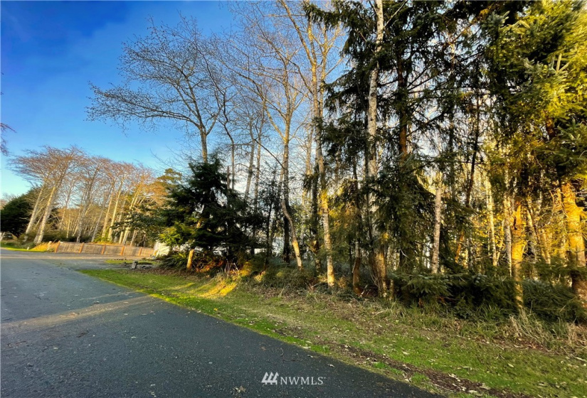 394 Lake View, Ocean Shores, Washington 98569, ,Land,For Sale,23,Lake View,NWM1865220