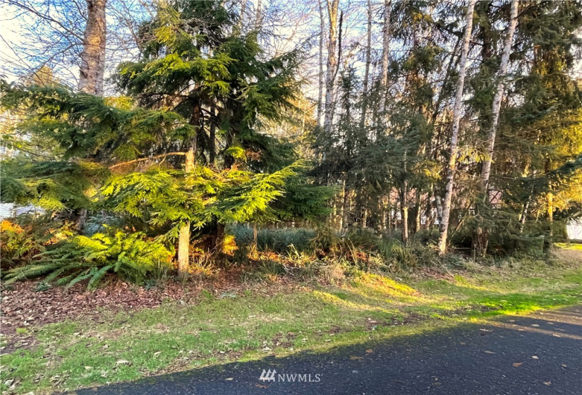 394 Lake View, Ocean Shores, Washington 98569, ,Land,For Sale,23,Lake View,NWM1865220