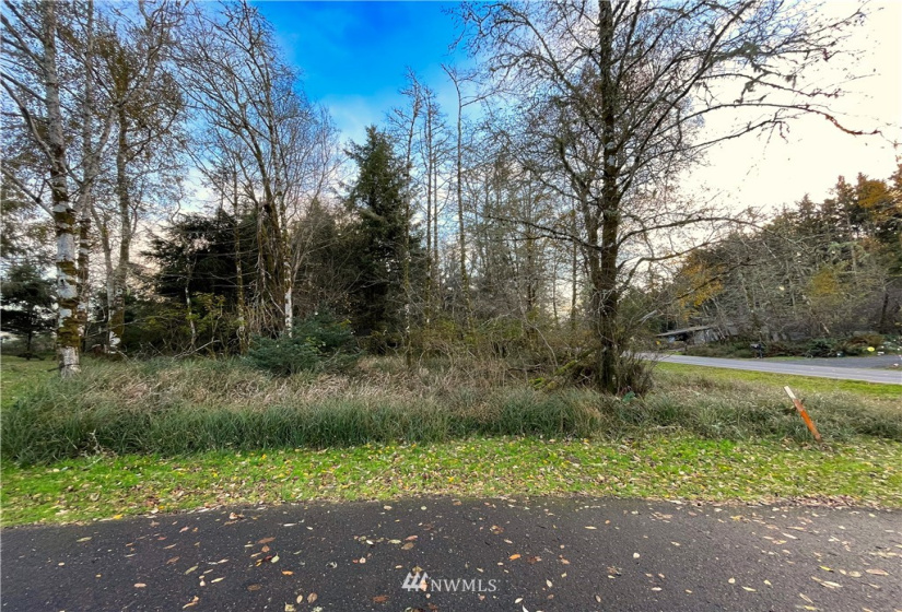 394 Lake View, Ocean Shores, Washington 98569, ,Land,For Sale,23,Lake View,NWM1865220