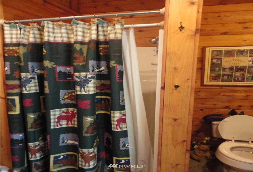 100 Chipmunk, Packwood, Washington 98361, ,Land,For Sale,6th High Valley,Chipmunk,NWM1865239