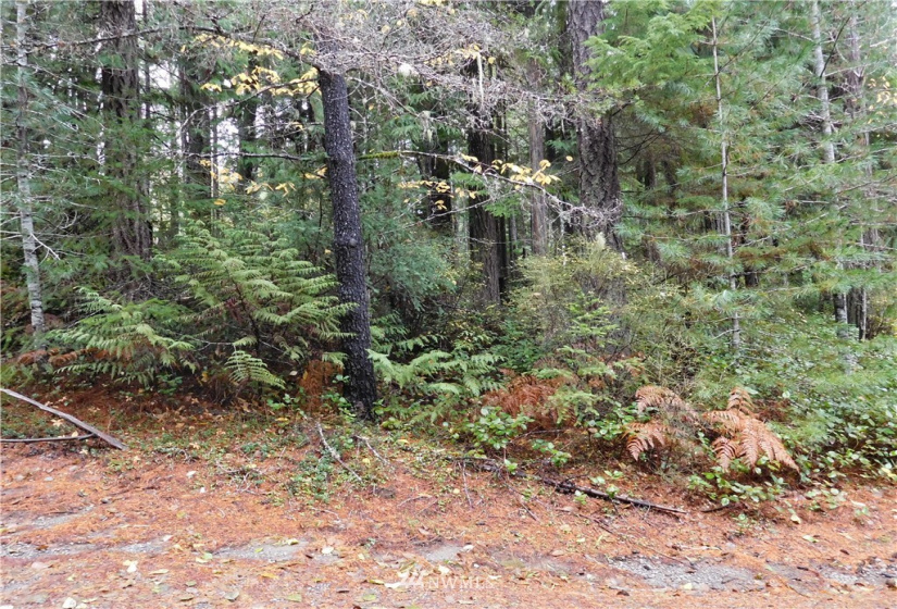 0 Suncrest, Hoodsport, Washington 98548, ,Land,For Sale,Suncrest,Suncrest,NWM1864562