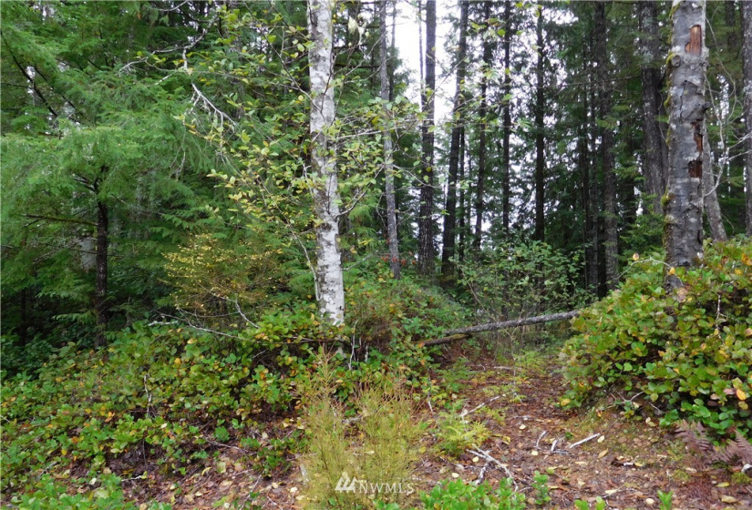 0 Suncrest, Hoodsport, Washington 98548, ,Land,For Sale,Suncrest,Suncrest,NWM1864562