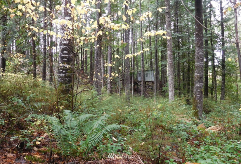 0 Suncrest, Hoodsport, Washington 98548, ,Land,For Sale,Suncrest,Suncrest,NWM1864562