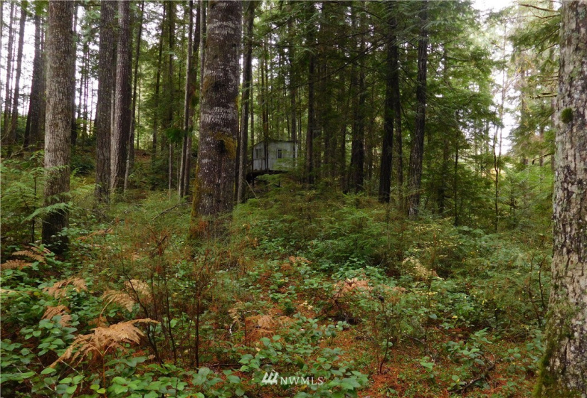 0 Suncrest, Hoodsport, Washington 98548, ,Land,For Sale,Suncrest,Suncrest,NWM1864562