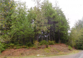 0 Suncrest, Hoodsport, Washington 98548, ,Land,For Sale,Suncrest,Suncrest,NWM1864562