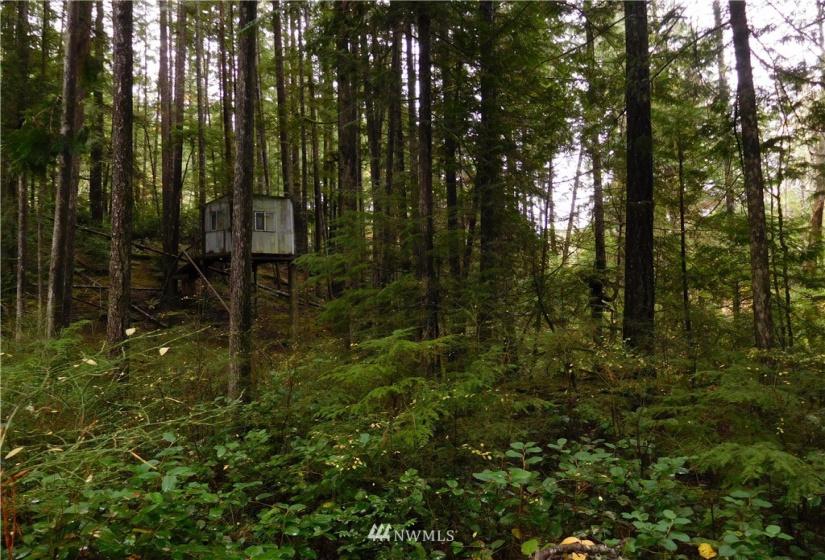 0 Suncrest, Hoodsport, Washington 98548, ,Land,For Sale,Suncrest,Suncrest,NWM1864562
