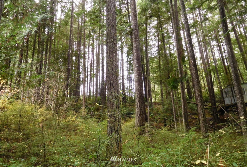 0 Suncrest, Hoodsport, Washington 98548, ,Land,For Sale,Suncrest,Suncrest,NWM1864562