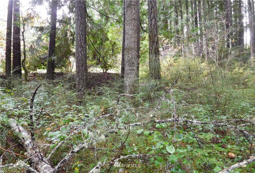 0 Suncrest, Hoodsport, Washington 98548, ,Land,For Sale,Suncrest,Suncrest,NWM1864562