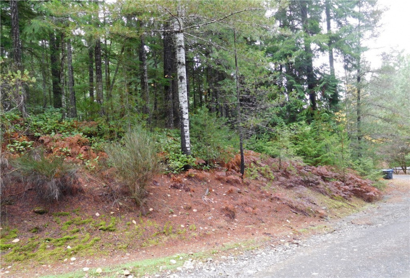 0 Suncrest, Hoodsport, Washington 98548, ,Land,For Sale,Suncrest,Suncrest,NWM1864562