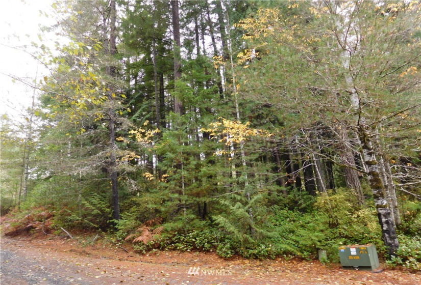0 Suncrest, Hoodsport, Washington 98548, ,Land,For Sale,Suncrest,Suncrest,NWM1864562