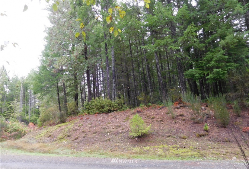 0 Suncrest, Hoodsport, Washington 98548, ,Land,For Sale,Suncrest,Suncrest,NWM1864562