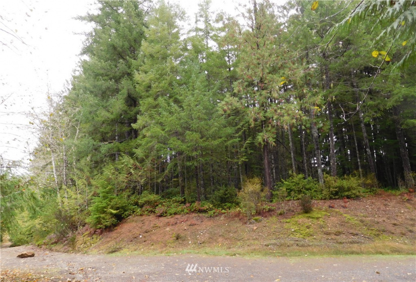 0 Suncrest, Hoodsport, Washington 98548, ,Land,For Sale,Suncrest,Suncrest,NWM1864562