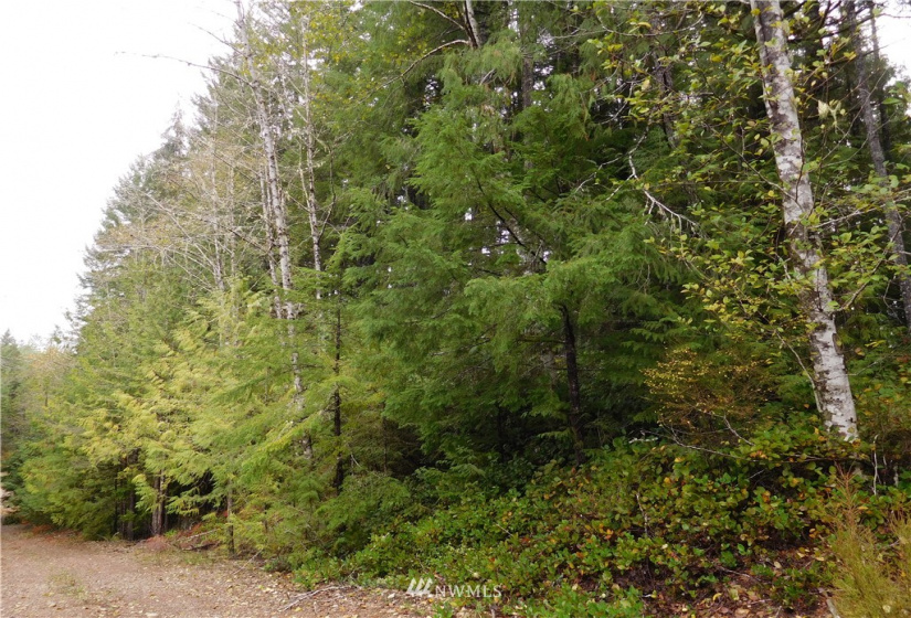 0 Suncrest, Hoodsport, Washington 98548, ,Land,For Sale,Suncrest,Suncrest,NWM1864562