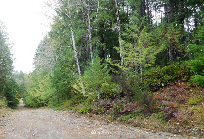 0 Suncrest, Hoodsport, Washington 98548, ,Land,For Sale,Suncrest,Suncrest,NWM1864562
