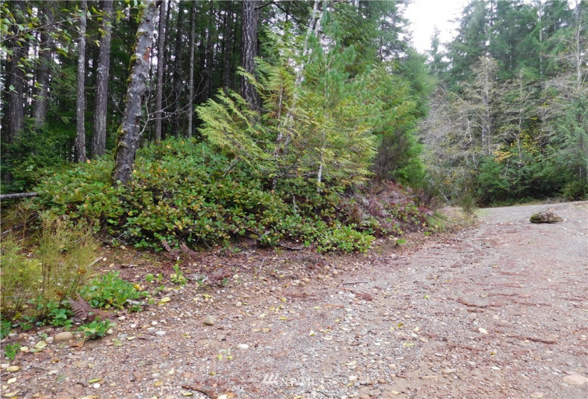 0 Suncrest, Hoodsport, Washington 98548, ,Land,For Sale,Suncrest,Suncrest,NWM1864562