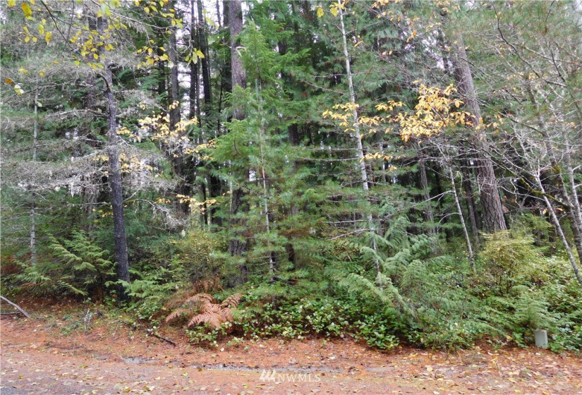 0 Suncrest, Hoodsport, Washington 98548, ,Land,For Sale,Suncrest,Suncrest,NWM1864562
