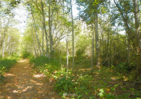 0 XXXX Gulf Road, Point Roberts, Washington 98281, ,Land,For Sale,Gulf Road,NWM1865240
