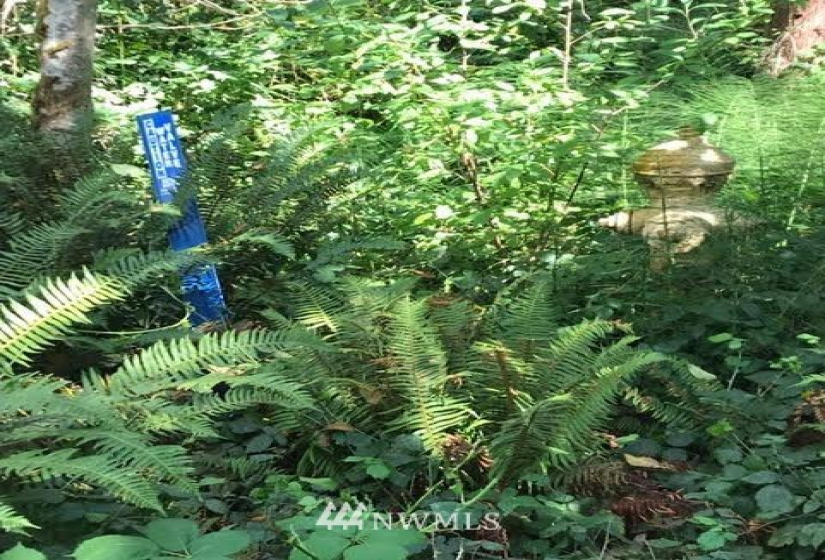 0 XXXX Gulf Road, Point Roberts, Washington 98281, ,Land,For Sale,Gulf Road,NWM1865240