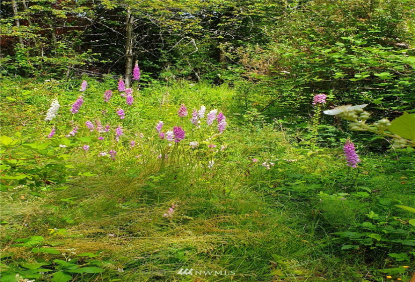 0 XXXX Gulf Road, Point Roberts, Washington 98281, ,Land,For Sale,Gulf Road,NWM1865240