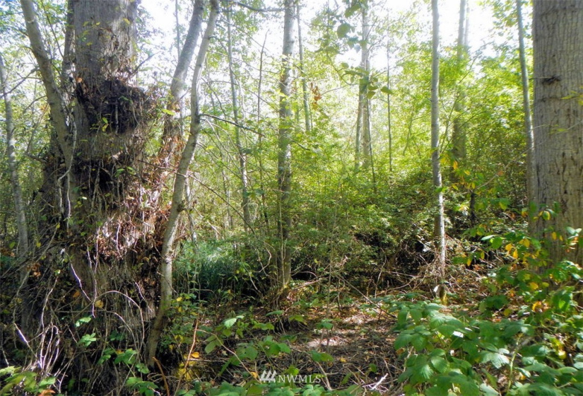 0 XXXX Gulf Road, Point Roberts, Washington 98281, ,Land,For Sale,Gulf Road,NWM1865240