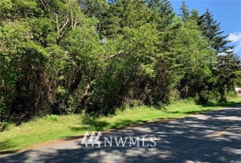 0 SR 20, Oak Harbor, Washington 98277, ,Land,For Sale,SR 20,NWM1864247