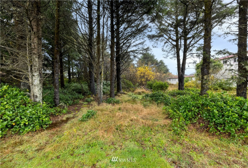 880 Ocean Shores Blvd., Ocean Shores, Washington 98569, ,Land,For Sale,Ocean Shores Blvd.,NWM1865492