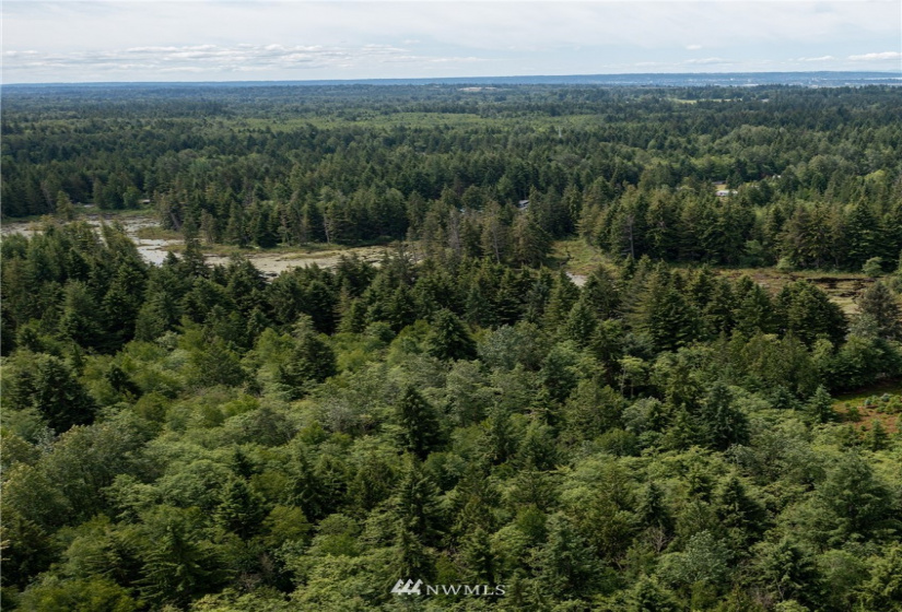 10703 112th, Arlington, Washington 98223, ,Land,For Sale,112th,NWM1865569