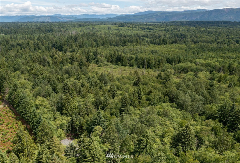 10703 112th, Arlington, Washington 98223, ,Land,For Sale,112th,NWM1865569