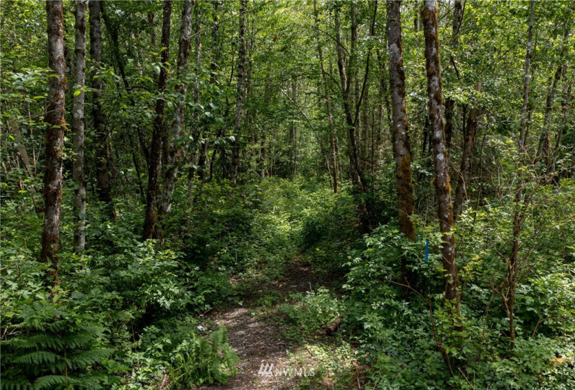 10703 112th, Arlington, Washington 98223, ,Land,For Sale,112th,NWM1865569