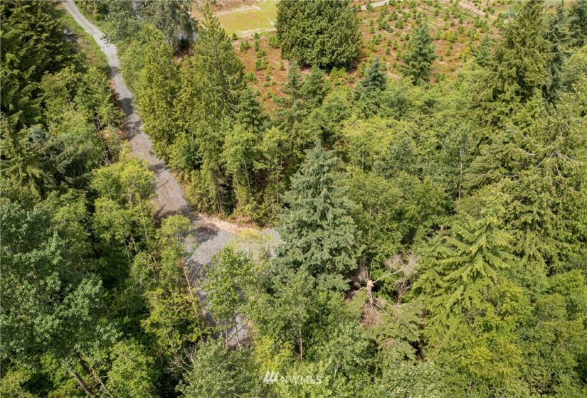 10703 112th, Arlington, Washington 98223, ,Land,For Sale,112th,NWM1865569