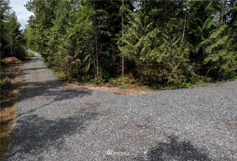 10703 112th, Arlington, Washington 98223, ,Land,For Sale,112th,NWM1865569
