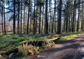 0 XXXX Quartz, Shelton, Washington 98584, ,Land,For Sale,Quartz,NWM1864726