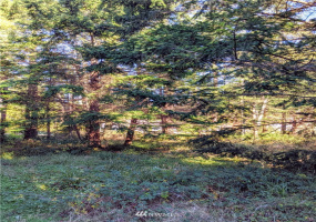 417 Greenwood, Point Roberts, Washington 98281, ,Land,For Sale,Sunset Hill,Greenwood,NWM1865400