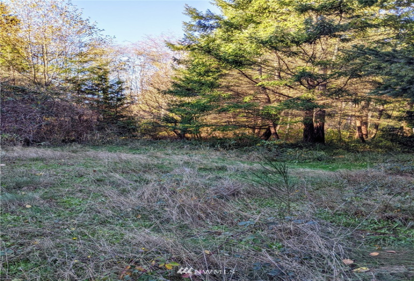 417 Greenwood, Point Roberts, Washington 98281, ,Land,For Sale,Sunset Hill,Greenwood,NWM1865400