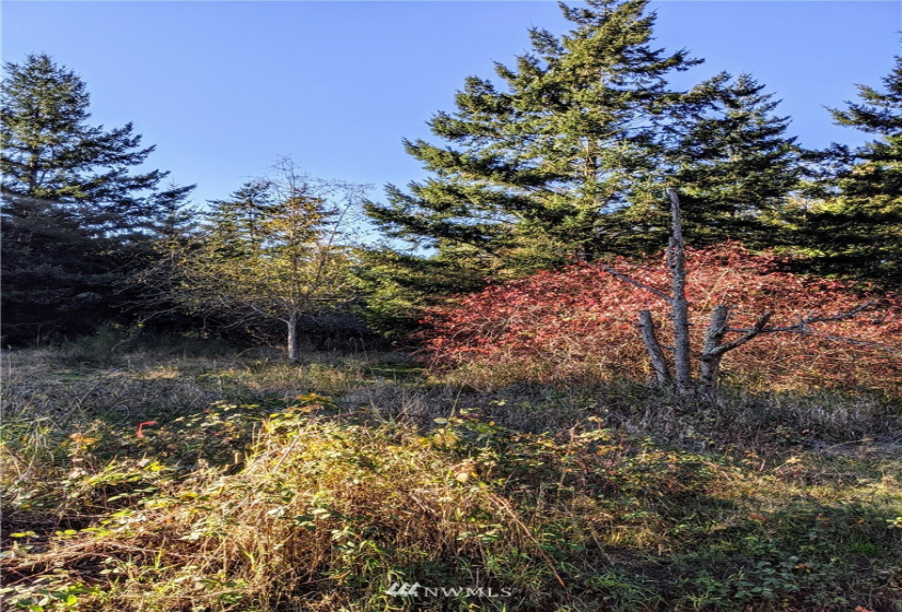 417 Greenwood, Point Roberts, Washington 98281, ,Land,For Sale,Sunset Hill,Greenwood,NWM1865400