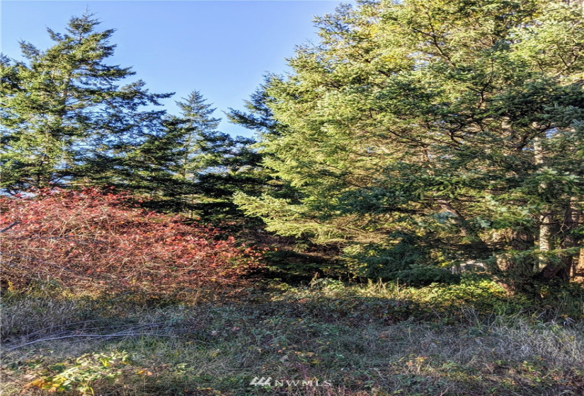 417 Greenwood, Point Roberts, Washington 98281, ,Land,For Sale,Sunset Hill,Greenwood,NWM1865400