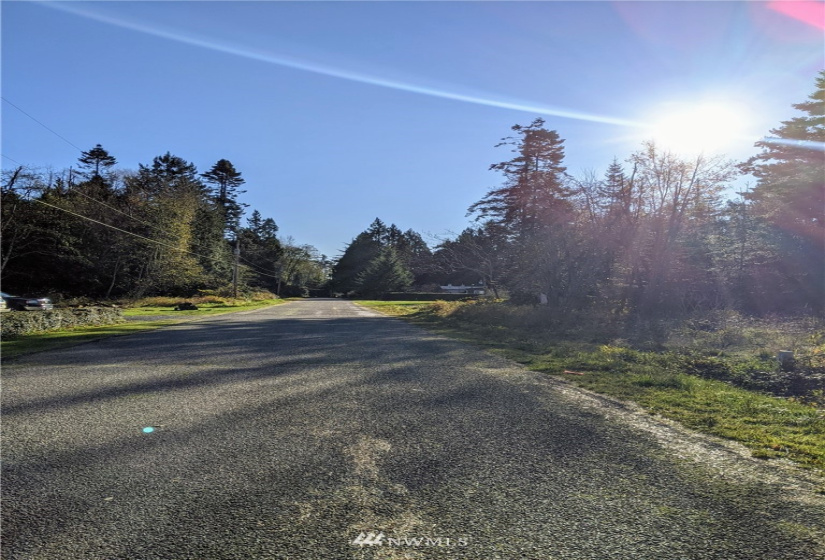 417 Greenwood, Point Roberts, Washington 98281, ,Land,For Sale,Sunset Hill,Greenwood,NWM1865400