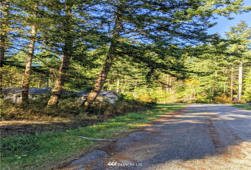 417 Greenwood, Point Roberts, Washington 98281, ,Land,For Sale,Sunset Hill,Greenwood,NWM1865400