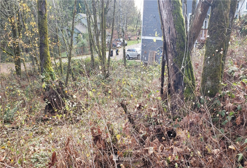 2518 Handicap (2530 also), Olympia, Washington 98512, ,Land,For Sale,Handicap (2530 also),NWM1865724